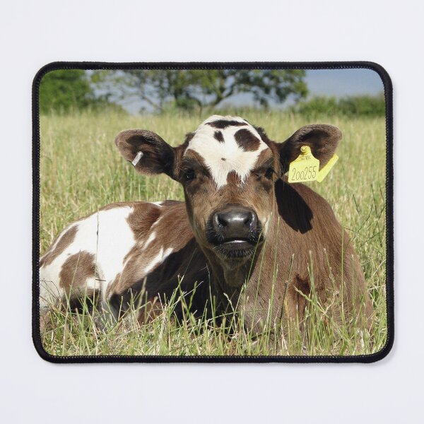 Item preview, The Sunbather designed and sold by Barrie Woodward.