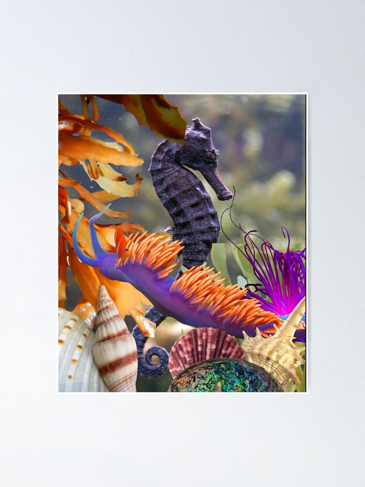Bright Colorful Digital Photo Collage Seahorse With Shells Design