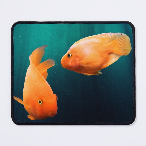 Item preview, RED BLOOD PARROT FISH - WATCHING YOU, WATCHING ME! designed and sold by Danicus666.