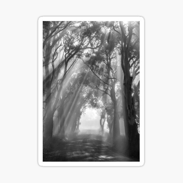Item preview, Light My Way designed and sold by LeeoPhotography.