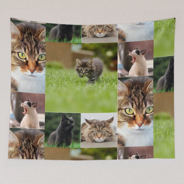 Item preview, Classical Cats Montage Set #8 designed and sold by Krispsm.