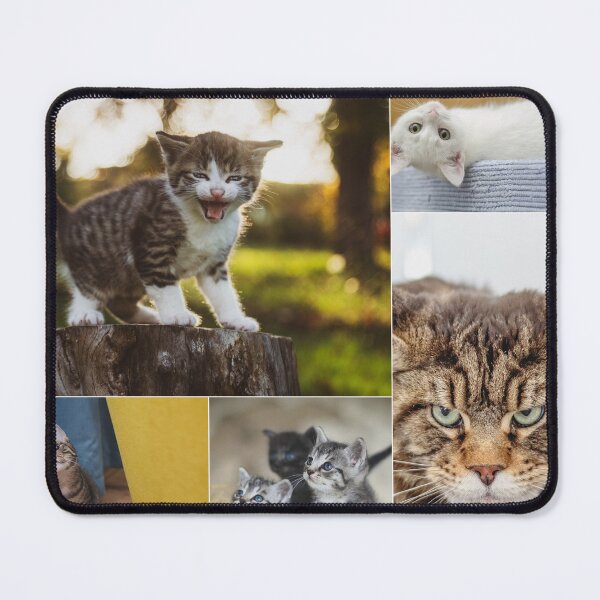 Item preview, Classical Cats Montage Set #10 designed and sold by Krispsm.