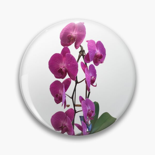 Item preview, Tall Deep Red Orchid designed and sold by Javamba.