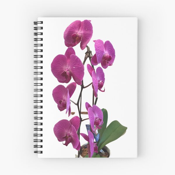 Item preview, Tall Deep Red Orchid designed and sold by Javamba.