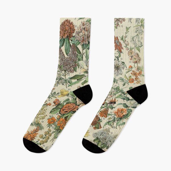 Item preview, Adolphe Millot Fleurs Ilustración de arte botánico francés vintage designed and sold by ind3finite.