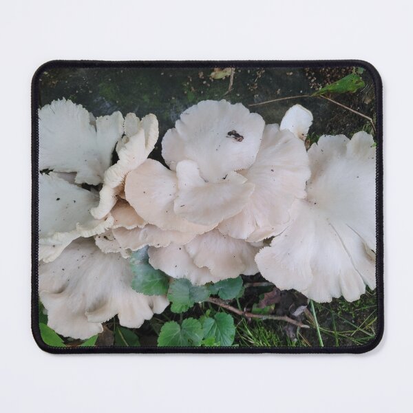 Item preview, White Fungus Feasting On A Stump designed and sold by thechasbowie.