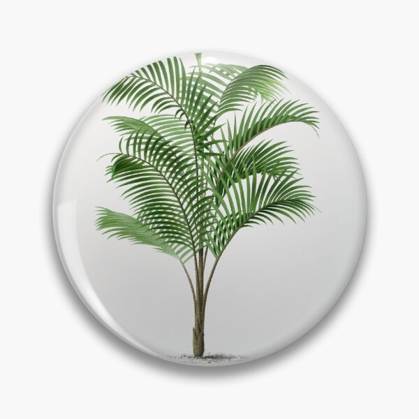 Item preview, 1 Les Palmiers Histoire designed and sold by hamptonstyle.