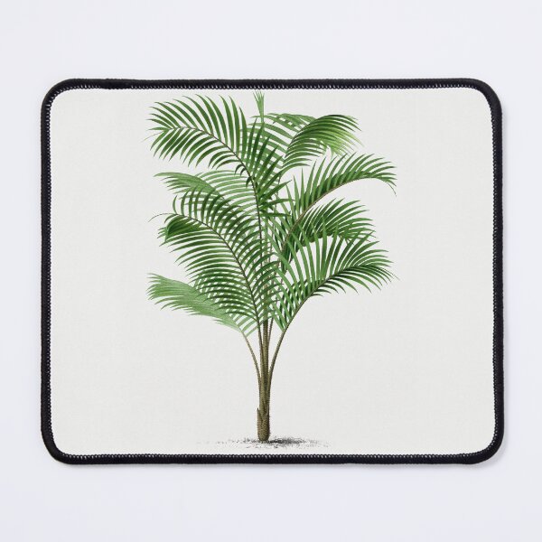 Item preview, 1 Les Palmiers Histoire designed and sold by hamptonstyle.
