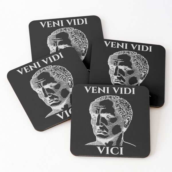 Latin quote Veni, vidi, vici on stone background, 3d