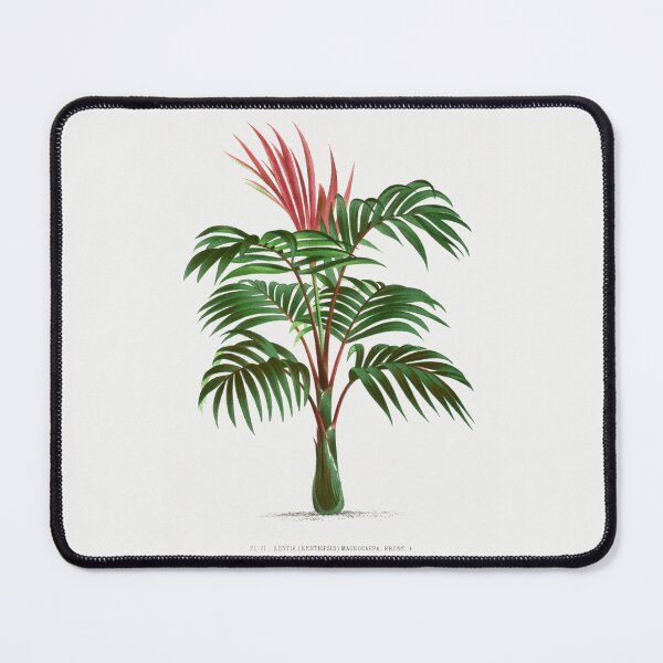 Item preview, 2 Les Palmiers Histoire designed and sold by hamptonstyle.