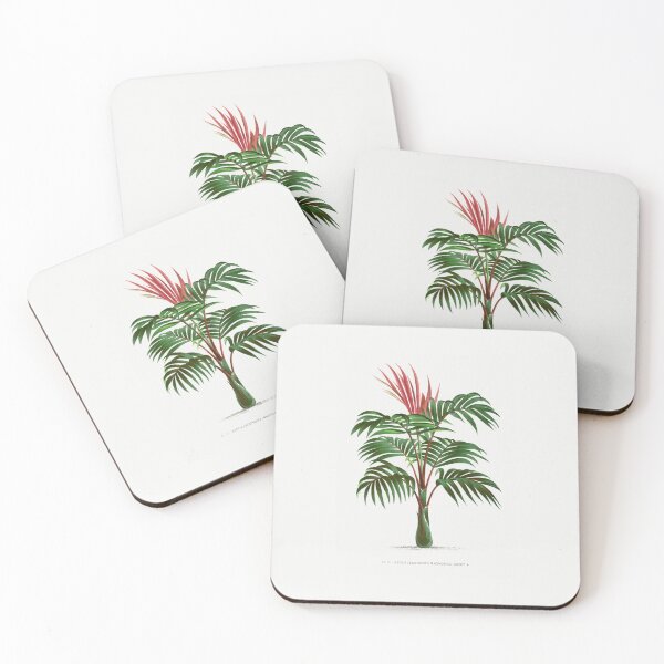 Item preview, 2 Les Palmiers Histoire designed and sold by hamptonstyle.
