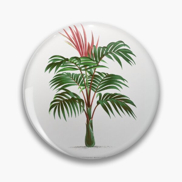 Item preview, 2 Les Palmiers Histoire designed and sold by hamptonstyle.