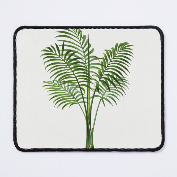 Item preview, 7 Les Palmiers Histoire designed and sold by hamptonstyle.