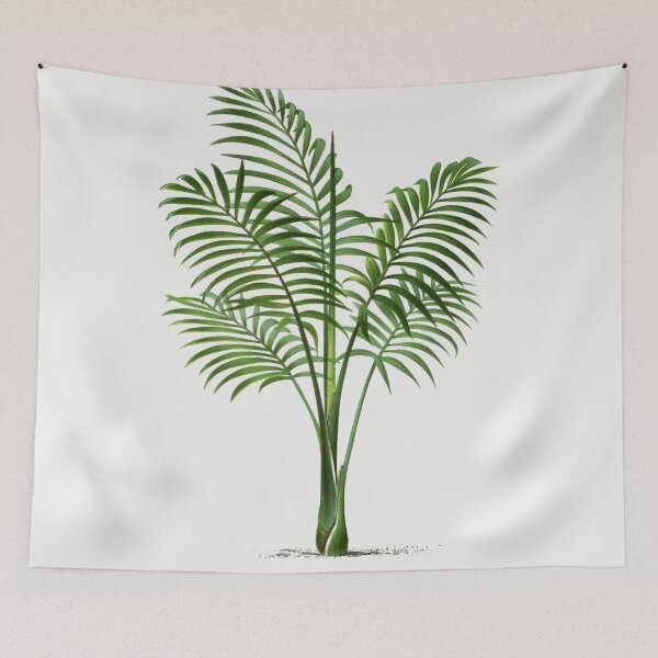 Item preview, 7 Les Palmiers Histoire designed and sold by hamptonstyle.