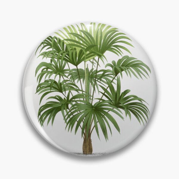 Item preview, 8 Les Palmiers Histoire designed and sold by hamptonstyle.