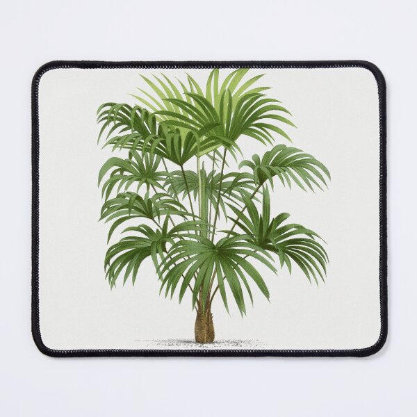 Item preview, 8 Les Palmiers Histoire designed and sold by hamptonstyle.
