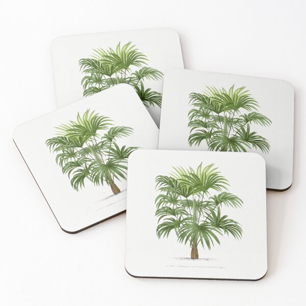 Item preview, 8 Les Palmiers Histoire designed and sold by hamptonstyle.
