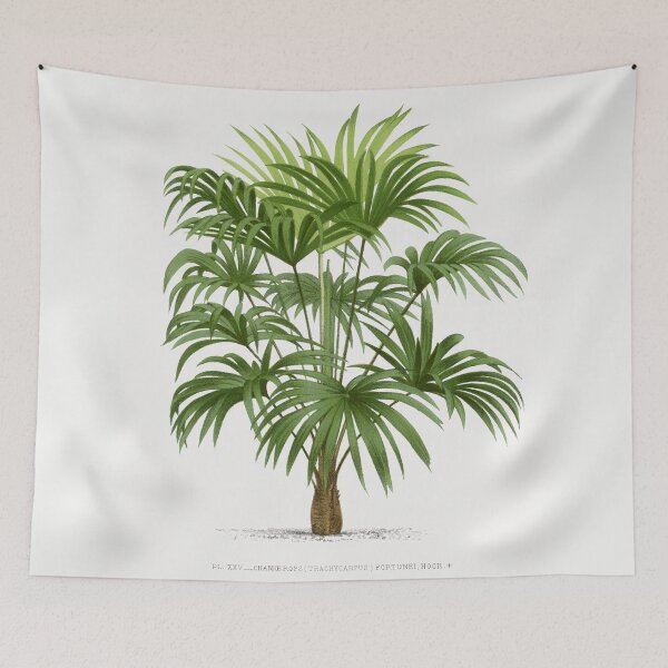 Item preview, 8 Les Palmiers Histoire designed and sold by hamptonstyle.