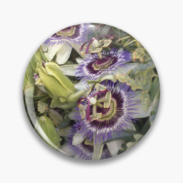 Item preview, Passionfruit Flowers designed and sold by Steve Anderssen.