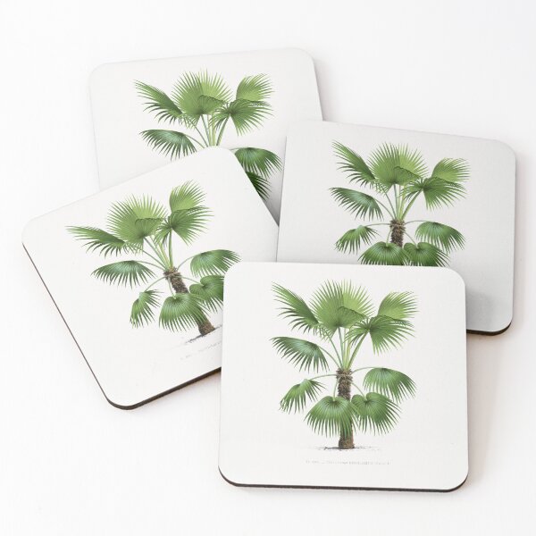 Item preview, 9 Les Palmiers Histoire designed and sold by hamptonstyle.