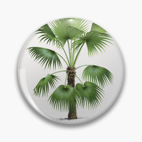 Item preview, 9 Les Palmiers Histoire designed and sold by hamptonstyle.