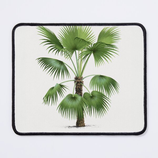 Item preview, 9 Les Palmiers Histoire designed and sold by hamptonstyle.