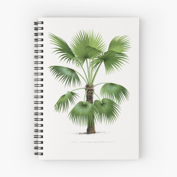 Item preview, 9 Les Palmiers Histoire designed and sold by hamptonstyle.