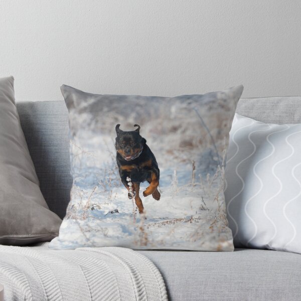 Item preview, Snowy Rotty  designed and sold by Srdjan Petrovic.