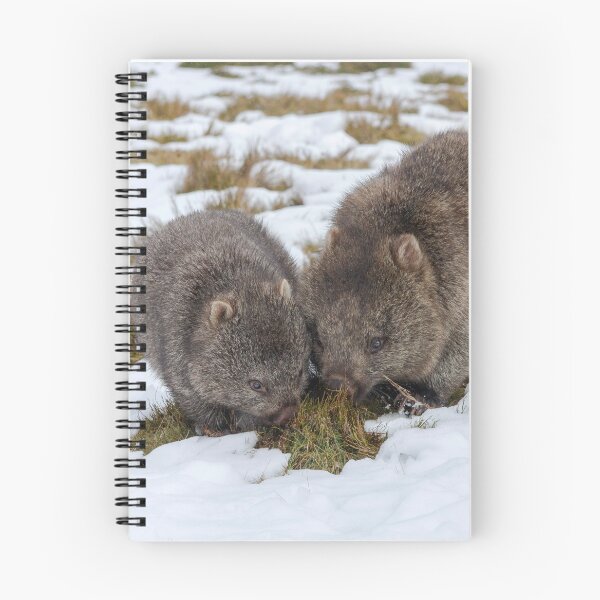 Item preview, Two Winter Wombats designed and sold by Leeo.
