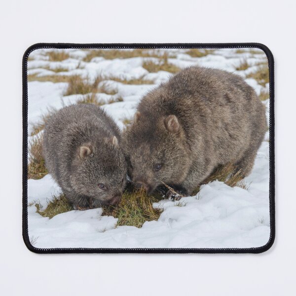 Item preview, Two Winter Wombats designed and sold by Leeo.