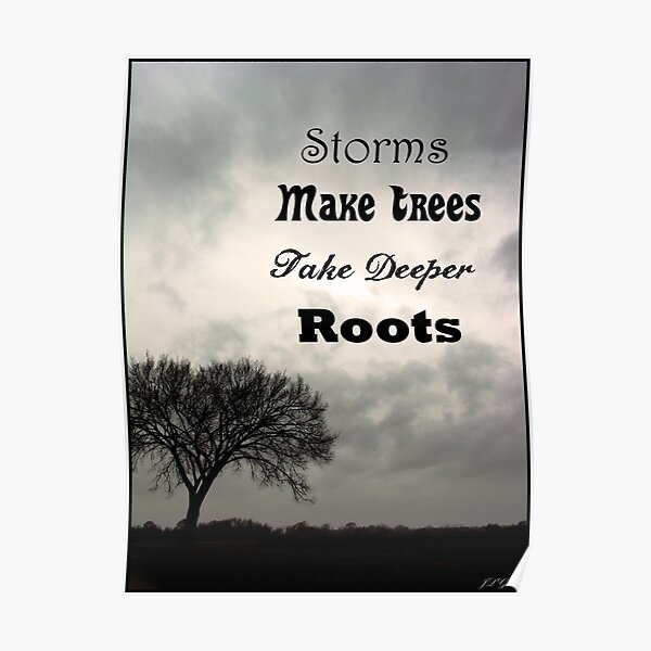 Storms Make Trees Take Deeper Roots Poster