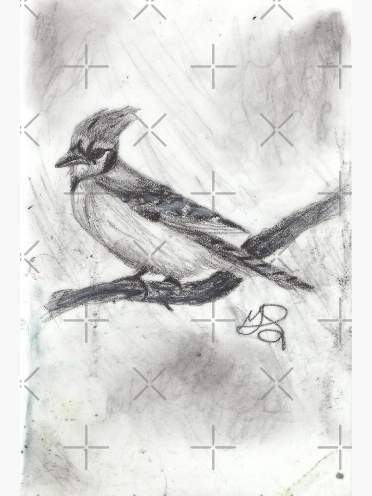 BLACK AND WHITE BLUE JAY Art Print