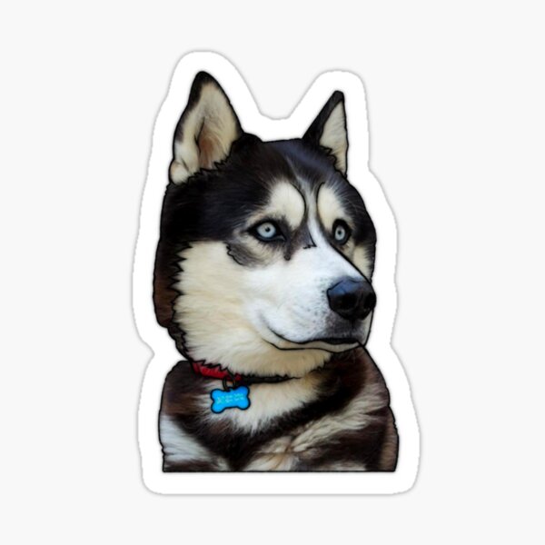 Majestic Husky Sticker