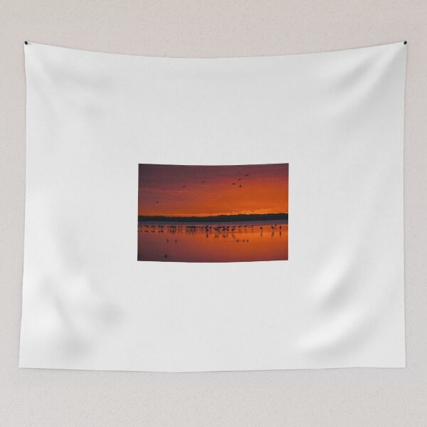 Item preview, Myakka Sunset designed and sold by Joe Saladino.