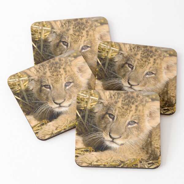 Item preview, Up Close Lion Cub Photograph designed and sold by AnimalLover4eva.