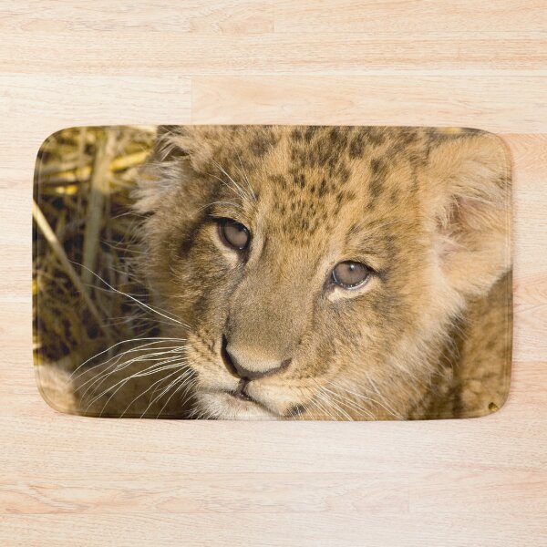 Item preview, Up Close Lion Cub Photograph designed and sold by AnimalLover4eva.