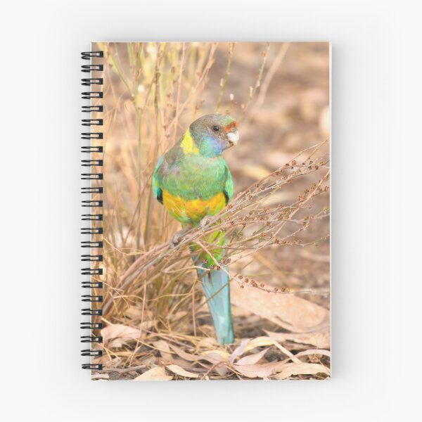 Item preview, The Seed Collector designed and sold by CBoyle.
