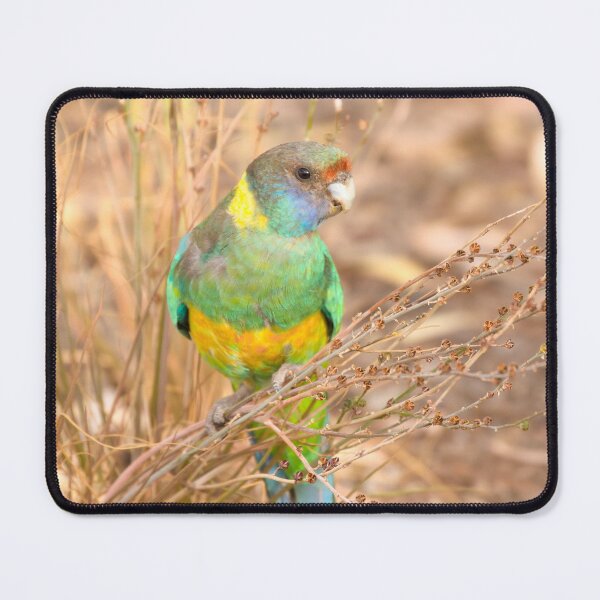 Item preview, The Seed Collector designed and sold by CBoyle.