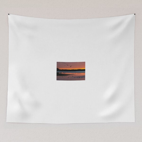 Item preview, Sandhill cranes arriving to roost. designed and sold by Joe Saladino.