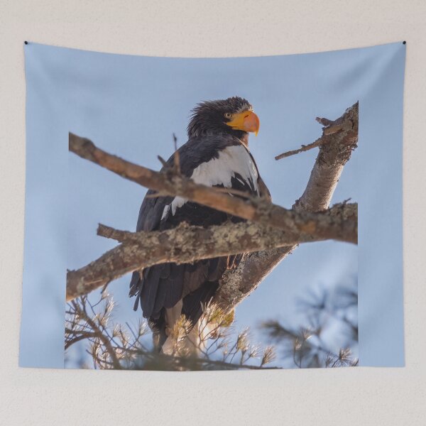 Item preview, Steller's Sea Eagle 1/8/22 designed and sold by LindaCPhoto.