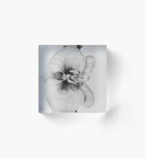 Orchid Acrylic Block