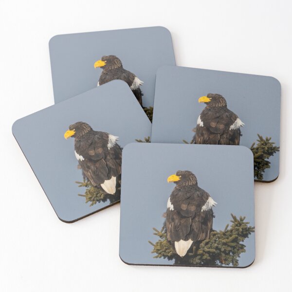 Item preview, Steller's Sea Eagle Looking designed and sold by LindaCPhoto.