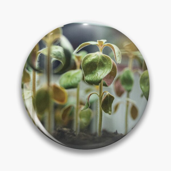 Item preview, Seedlings Growing Soil Plant Nature Life designed and sold by Pavnud.
