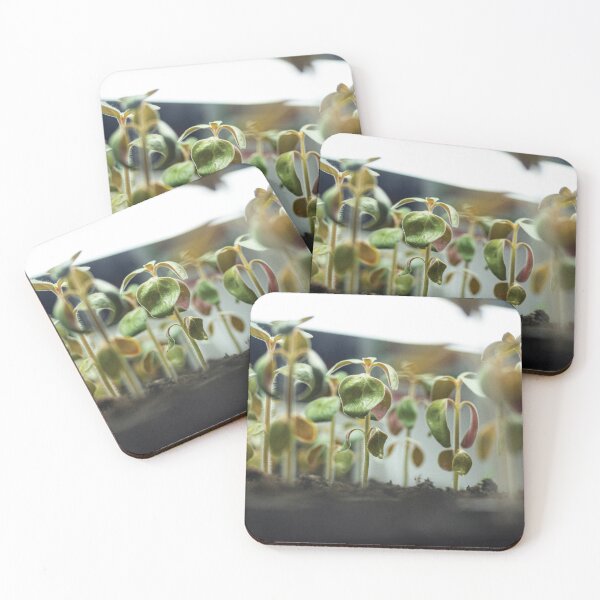 Item preview, Seedlings Growing Soil Plant Nature Life designed and sold by Pavnud.