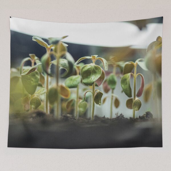 Item preview, Seedlings Growing Soil Plant Nature Life designed and sold by Pavnud.