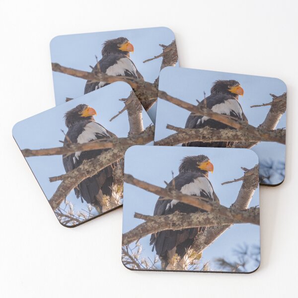 Item preview, Steller's Sea Eagle 1/8/22 designed and sold by LindaCPhoto.