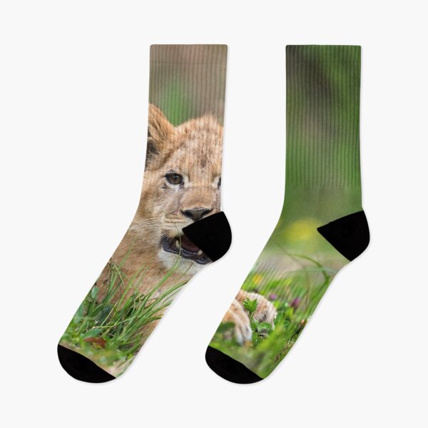 Item preview, Baby Cub Lion In Meadow  designed and sold by AnimalLover4eva.