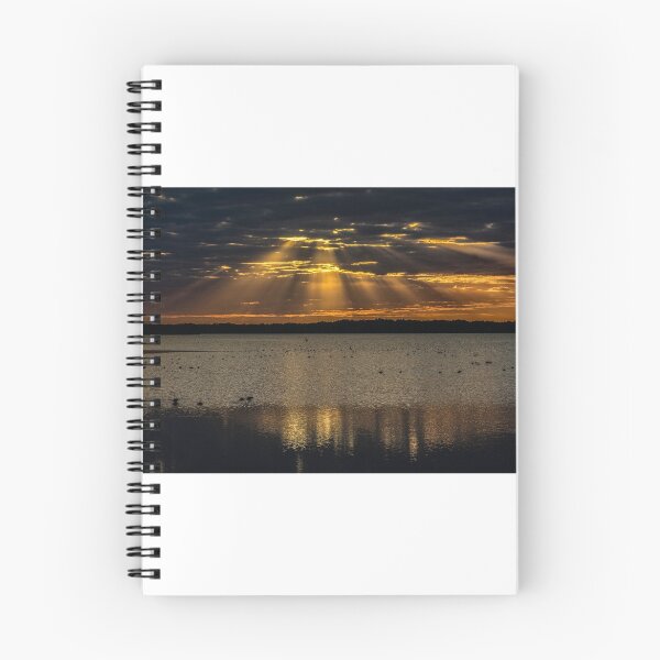 Item preview, Cloudy sunset over Lake Myakka designed and sold by Joe Saladino.