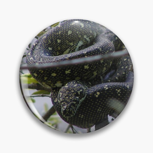 Item preview, Australian Diamond Python Watching From Tree designed and sold by MottoDigging.