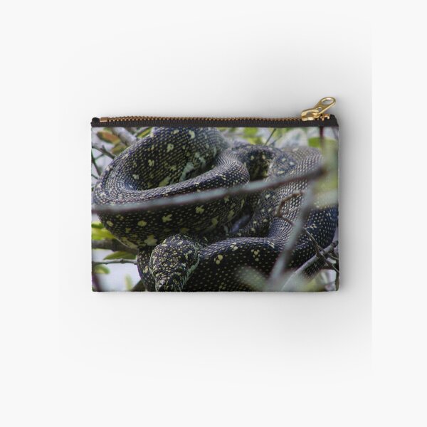 Item preview, Australian Diamond Python Watching From Tree designed and sold by MottoDigging.